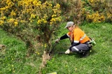 Person carrying out weed control at a planting site