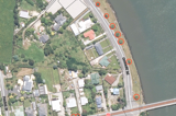Map showing trees to be removed