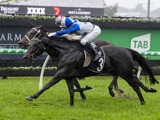 Person racing a horse