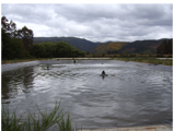 Wastewater pond