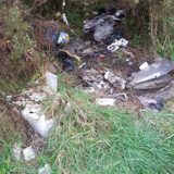 Illegal Dumping 768X1024